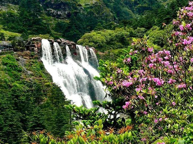 牛油果面包
