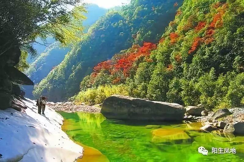高效学习知识星球平台-数据充电线一根纯黑一根黑白相间哪根零线哪根火线?专注分享