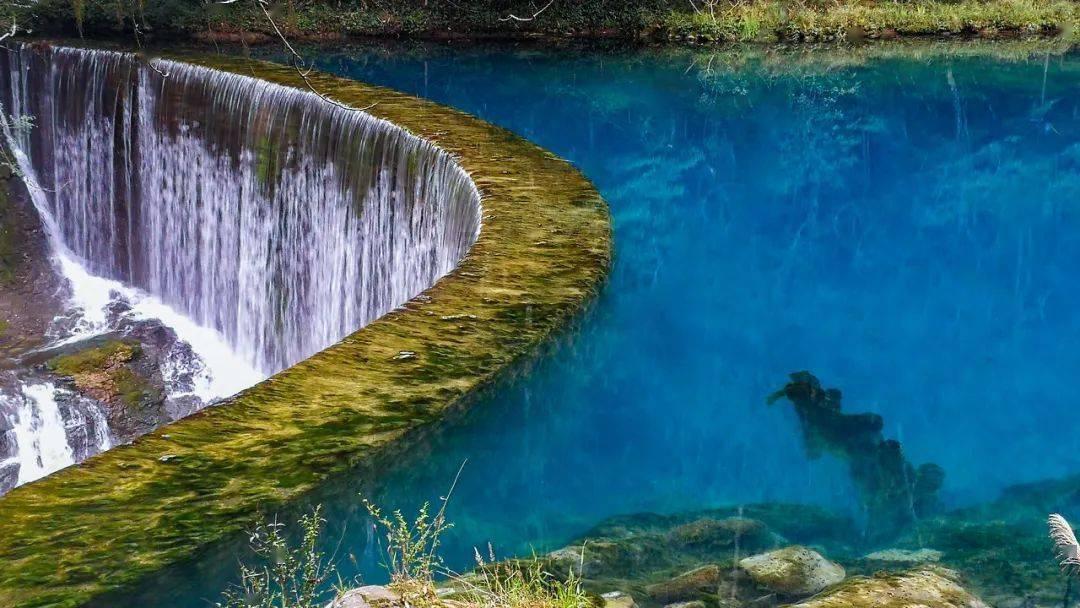 虫虫助手下载